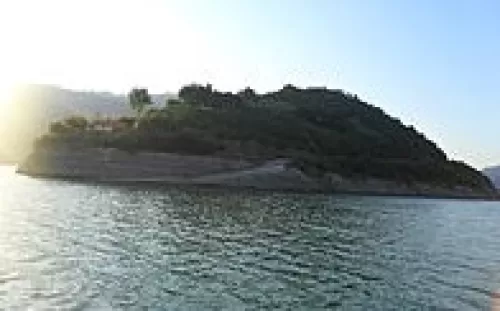 Tokat Reklam Ajansı