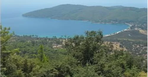 Muğla Sosyal Medya Reklam Ajansı