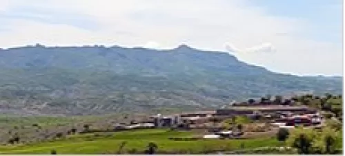 Şırnak Web Tasarım